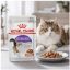 پوچ رویال کنین گربه عقیم شده 85 گرم RoyalCanin Sterilised