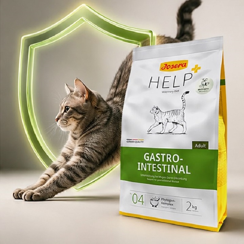 غذای خشک گربه جوسرا گاسترو 2 کیلوگرم Josera Gastro