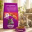 غذای خشک گربه بالغ ویسکاس 1.9 کیلوگرم Whiskas Adult