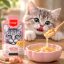 سوپ گربه با طعم ماهی تن و میگو ونپی 50 گرم Wanpy Soup