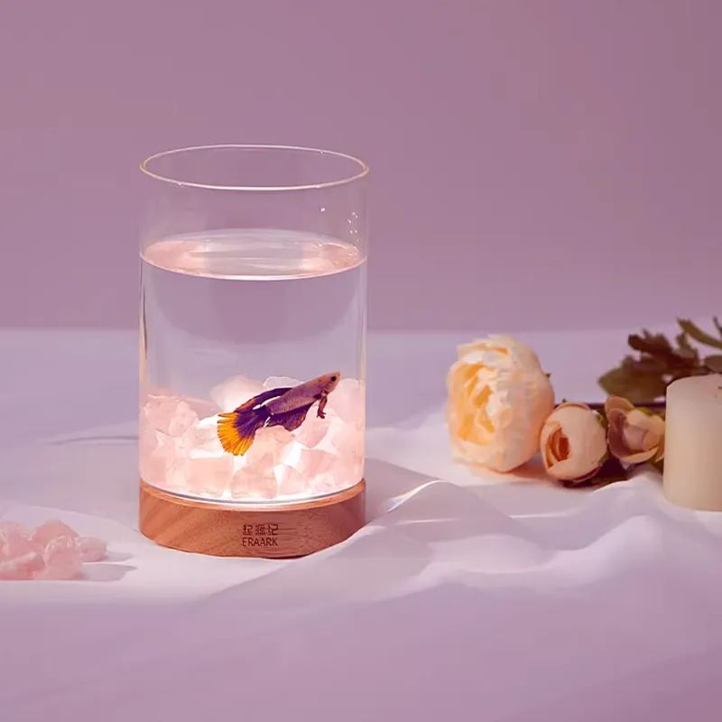 مینی آکواریوم شیائومی مدل Xiaopei Amethyst