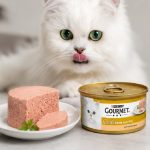 کنسرو گربه گورمت طعم گوشت گاو 85 گرم Gourmet Canned