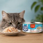 کنسرو گربه ونپی با طعم مرغ و ماهی کاد 95 گرم Wanpy Canned
