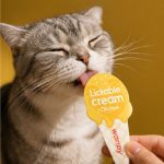 بستنی گربه ونپی با طعم مرغ (لیسیدنی) 16 گرم Wanpy Creamy