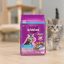 غذای خشک بچه گربه با طعم ماهی ویسکاس 300 گرم Whiskas Food