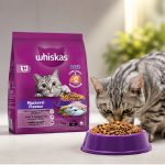 غذای خشک گربه بالغ با طعم ماهی ویسکاس 300 گرم Whiskas Food