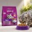 غذای خشک گربه بالغ با طعم ماهی ویسکاس 300 گرم Whiskas Food