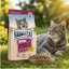 غذای خشک گربه هپی کت عقیم 2 کیلوگرم Happy Cat Food