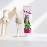 خمیر تقویت مفاصل و استخوان گربه رویال کوکو 100 گرم Royal Coco Paste