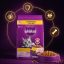 غذای خشک گربه بالغ با طعم مرغ ویسکاس 300 گرم Whiskas Food