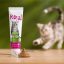 خمیر تقویت مفاصل و استخوان گربه رویال کوکو 100 گرم Royal Coco Paste