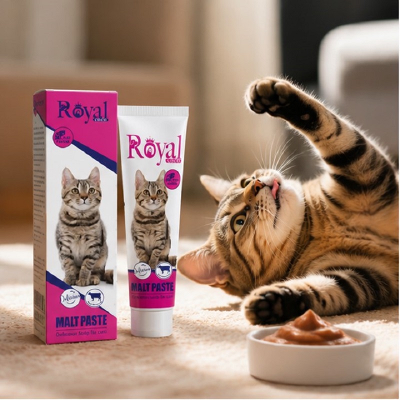 خمیر مالت گربه رویال کوکو با طعم گوشت 100 گرم Royal Coco Paste