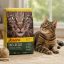 غذای خشک گربه جوسرا نیچرکت 1 کیلوگرم Whiskas Food