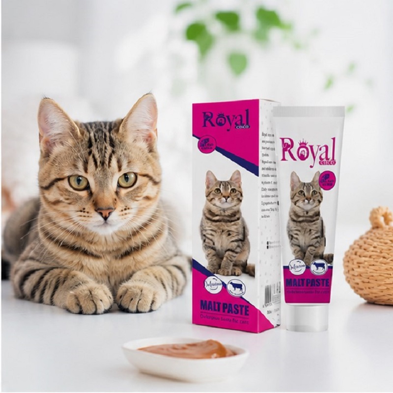خمیر مالت گربه رویال کوکو با طعم گوشت 100 گرم Royal Coco Paste