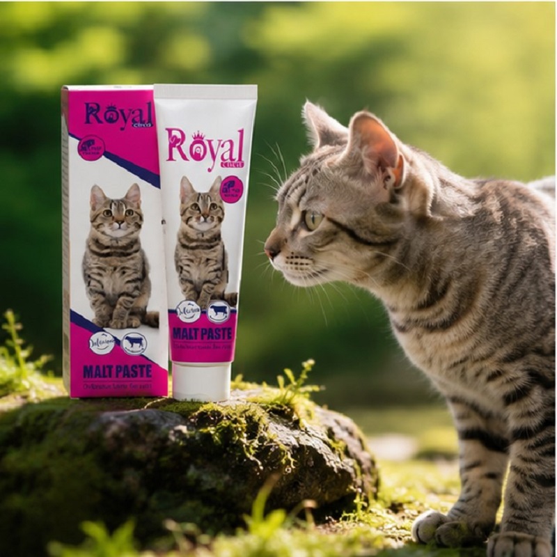 خمیر مالت گربه رویال کوکو با طعم گوشت 100 گرم Royal Coco Paste