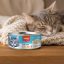 کنسرو گربه ونپی با طعم مرغ و ماهی کاد 95 گرم Wanpy Canned