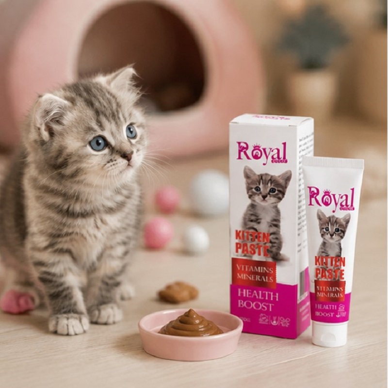 خمیر مولتی ویتامین بچه گربه رویال کوکو 100 گرم Royal Coco Paste