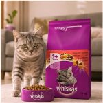 غذای خشک گربه ویسکاس با طعم گوشت 1.4 کیلوگرم Whiskas Food