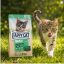 غذای خشک گربه هپی کت مینکاس میکس 2 کیلوگرم Happy Cat Food