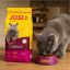 غذای خشک گربه عقیم جوسی کت جوسرا 10 کیلوگرم Josera Food