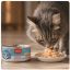 کنسرو گربه ونپی با طعم مرغ و میگو 95 گرم Wanpy Canned