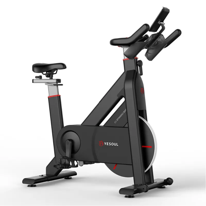 دوچرخه ثابت شیائومی Yesoul C1H