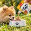 پودینگ سگ با طعم گوشت گاو، هویج و نخود فرنگی ونپی 90 گرم Wanpy Pudding