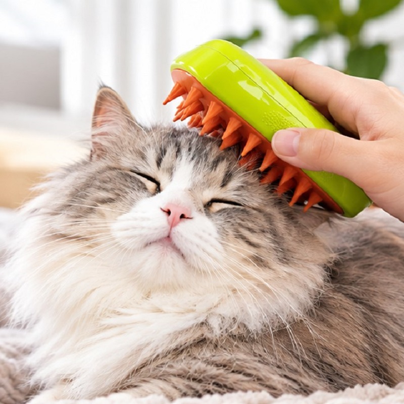 برس موی سگ و گربه بخارسرد شارژی مدل انبه Hair Brush