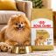 غذای خشک سگ بالغ پامرانین رویال کنین 1.5 کیلوگرم Royal Canin Food