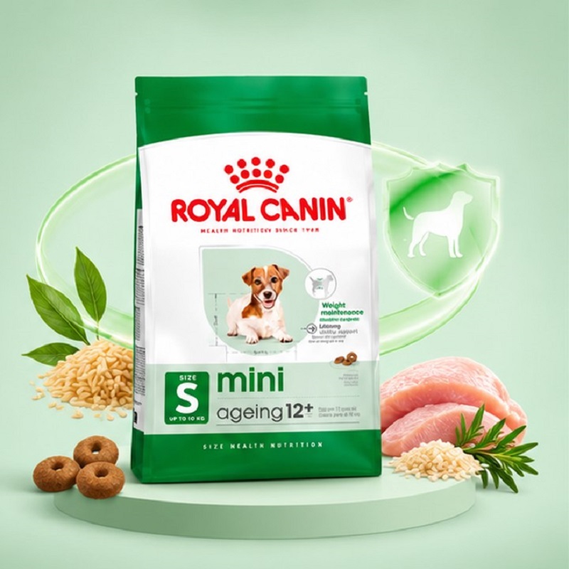 غذای خشک سگ مسن نژاد کوچک رویال کنین 1.5 کیلوگرم Royal Canin Food