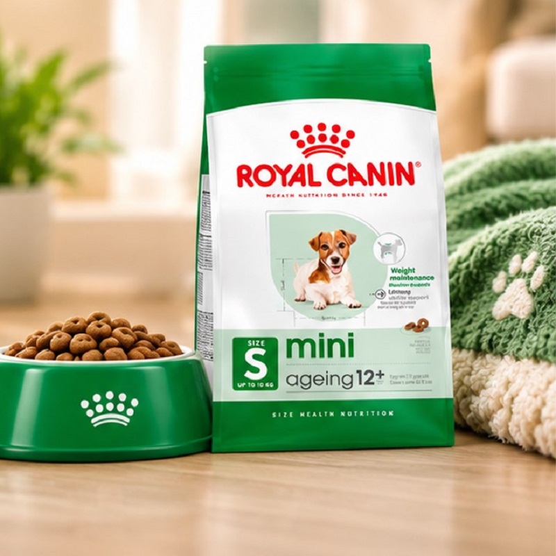 غذای خشک سگ مسن نژاد کوچک رویال کنین 1.5 کیلوگرم Royal Canin Food
