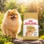 غذای خشک سگ بالغ پامرانین رویال کنین 1.5 کیلوگرم Royal Canin Food