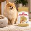 غذای خشک سگ بالغ پامرانین رویال کنین 1.5 کیلوگرم Royal Canin Food