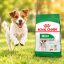 غذای خشک سگ رویال کنین مینی ادالت 2 کیلوگرم Royal Canin Food