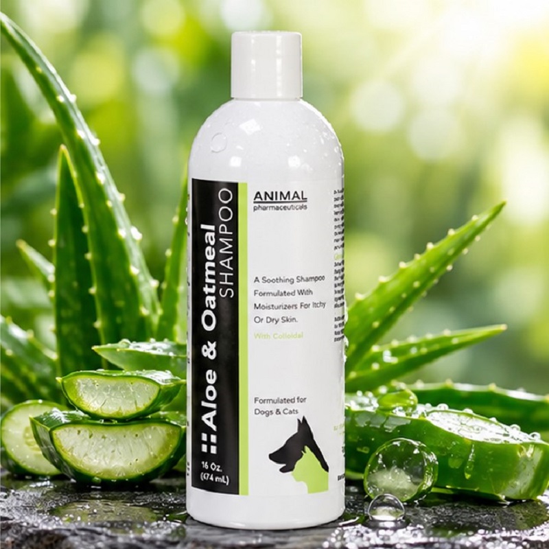 شامپو سگ و گربه انیمال آمریکا 250 گرمی Animal Shampoo