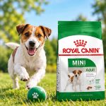 غذای خشک سگ رویال کنین مینی ادالت 500 گرم Royal Canin Food