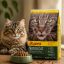 غذای خشک گربه جوسرا نیچرکت 5 کیلوگرم Josera NatureCat
