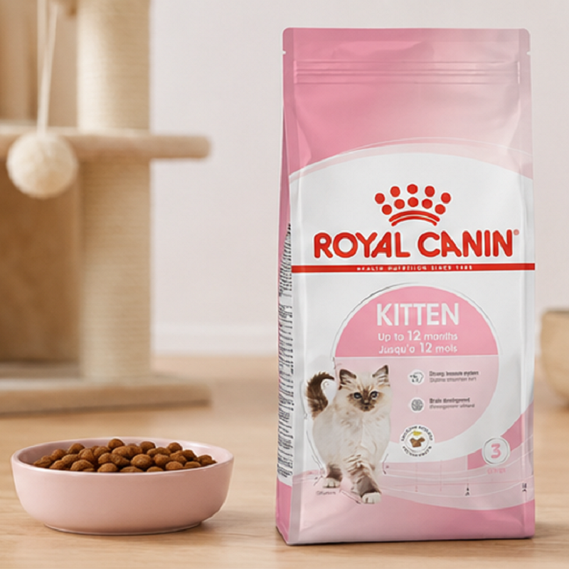غذای خشک گربه کیتن رویال کنین 5 کیلوگرم Royal Canin kitten