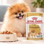 پوچ سگ پامرانین رویال کنین 85 گرم Royal Canin Pouch