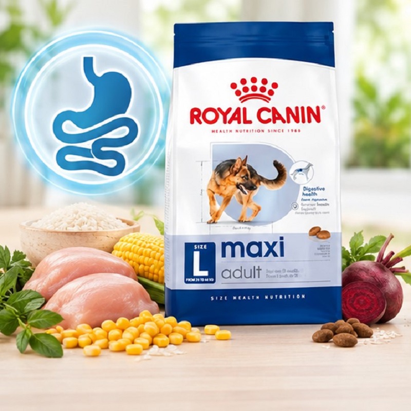 غذای خشک سگ مکسی ادالت رویال کنین 1 کیلوگرم Royal Canin Food