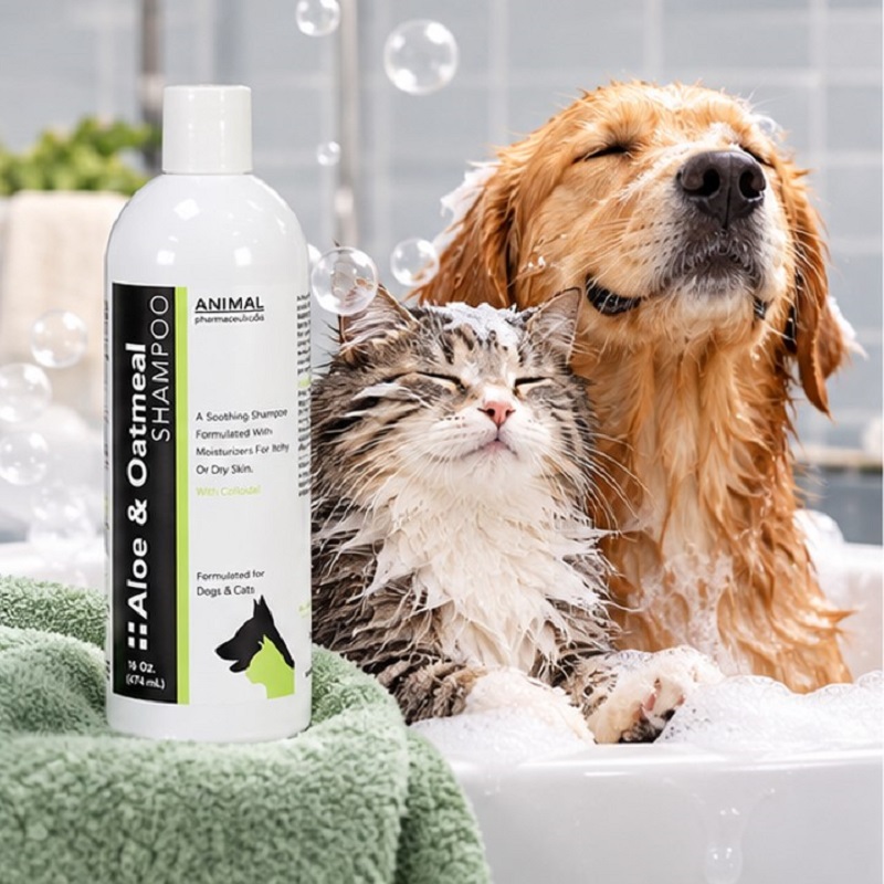شامپو سگ و گربه انیمال آمریکا 250 گرمی Animal Shampoo