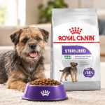 غذای خشک سگ رویال کنین مینی استرلایزد (عقیم شده) 500 گرم Royal Canin Food