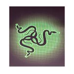 پدموس دوردوخت گیمینگ طرح Razer