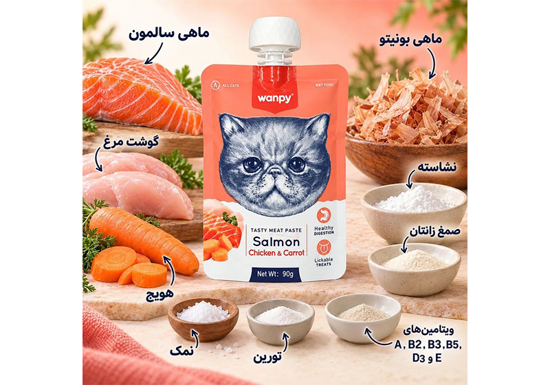 پودینگ گربه ونپی با طعم سالمون و مرغ وزن 90 گرم Wanpy Pudding