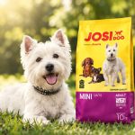 غذا خشک سگ جوسرا مینی ادالت 1 کیلوگرم Josera Food
