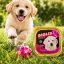 کنسرو سگ با طعم مرغ و گوشت گوساله داگ اند کو ۱۵۰ گرم Dog & Co Food