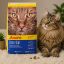 غذای خشک گربه جوسرا مدل دیلی کت Josera Dailycat وزن 500 گرم