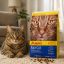 غذای خشک گربه جوسرا مدل دیلی کت Josera Dailycat وزن 10 کیلوگرم پک اصلی
