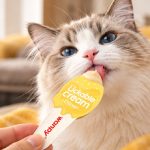 بستنی گربه ونپی با طعم مرغ (لیسیدنی) 16 گرم بسته بندی جدید Wanpy Ice Cream