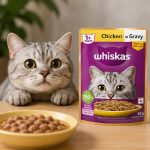 پوچ گربه بالغ ویسکاس با طعم تکه های مرغ در سس ویسکاس 85 گرم Whiskas Pouch
